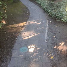 Spring-pressure-washing-for-Kirkland-springs-apartments 24